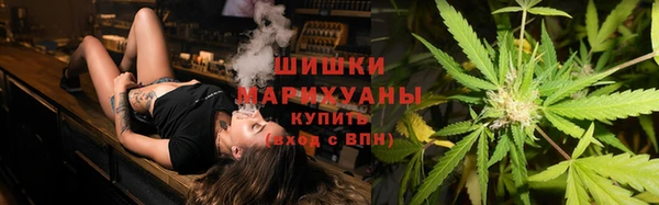 сатива Семилуки