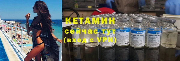 сатива Семилуки