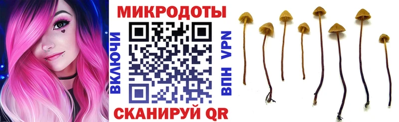 купить закладку  Жирновск  Псилоцибиновые грибы мицелий 